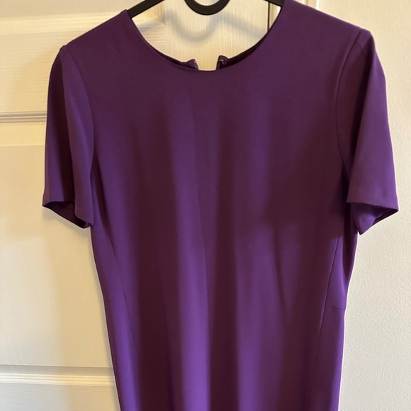 Aritzia Babaton Patricio Dress - Picture 10 of 10